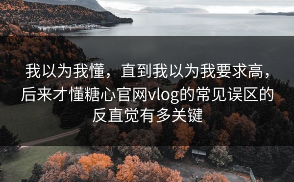 我以为我懂，直到我以为我要求高，后来才懂糖心官网vlog的常见误区的反直觉有多关键