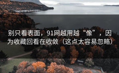 别只看表面，91网越用越“像”，因为收藏回看在收敛（这点太容易忽略）