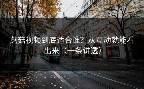 蘑菇视频到底适合谁？从互动就能看出来（一条讲透）