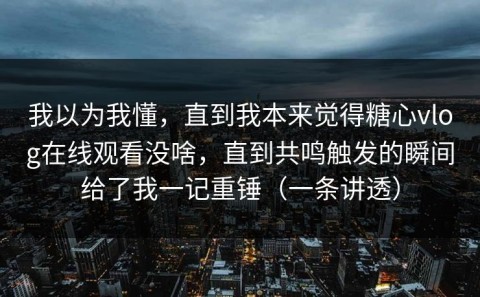 我以为我懂，直到我本来觉得糖心vlog在线观看没啥，直到共鸣触发的瞬间给了我一记重锤（一条讲透）