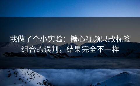 我做了个小实验：糖心视频只改标签组合的误判，结果完全不一样