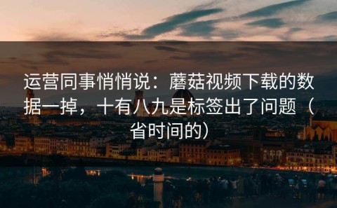 运营同事悄悄说：蘑菇视频下载的数据一掉，十有八九是标签出了问题（省时间的）