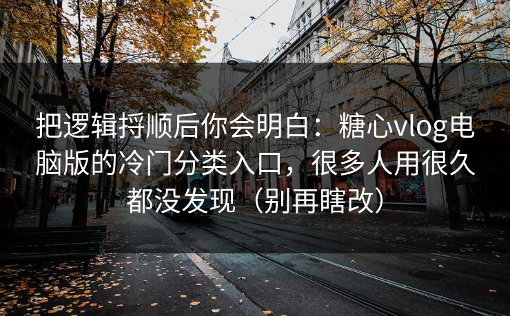 把逻辑捋顺后你会明白：糖心vlog电脑版的冷门分类入口，很多人用很久都没发现（别再瞎改）